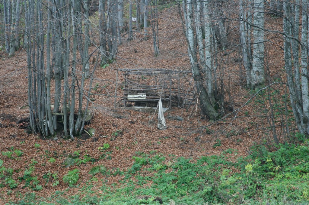 img_2320.jpg