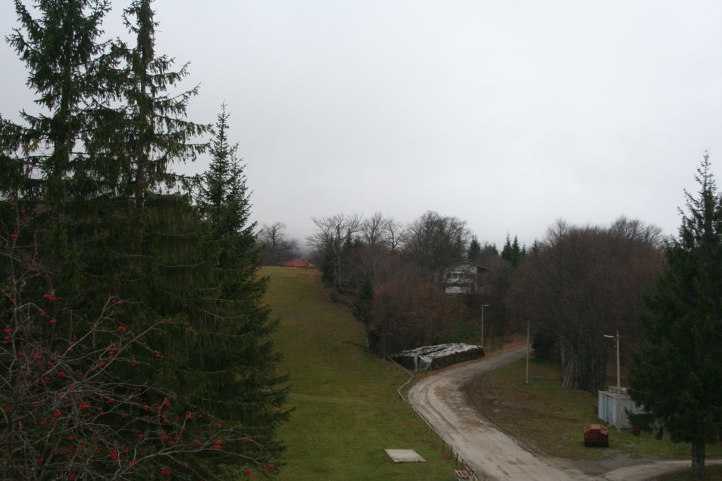 img_2332.jpg
