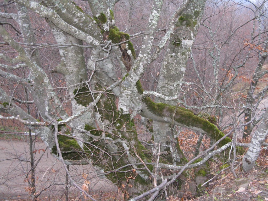 img_7522.jpg