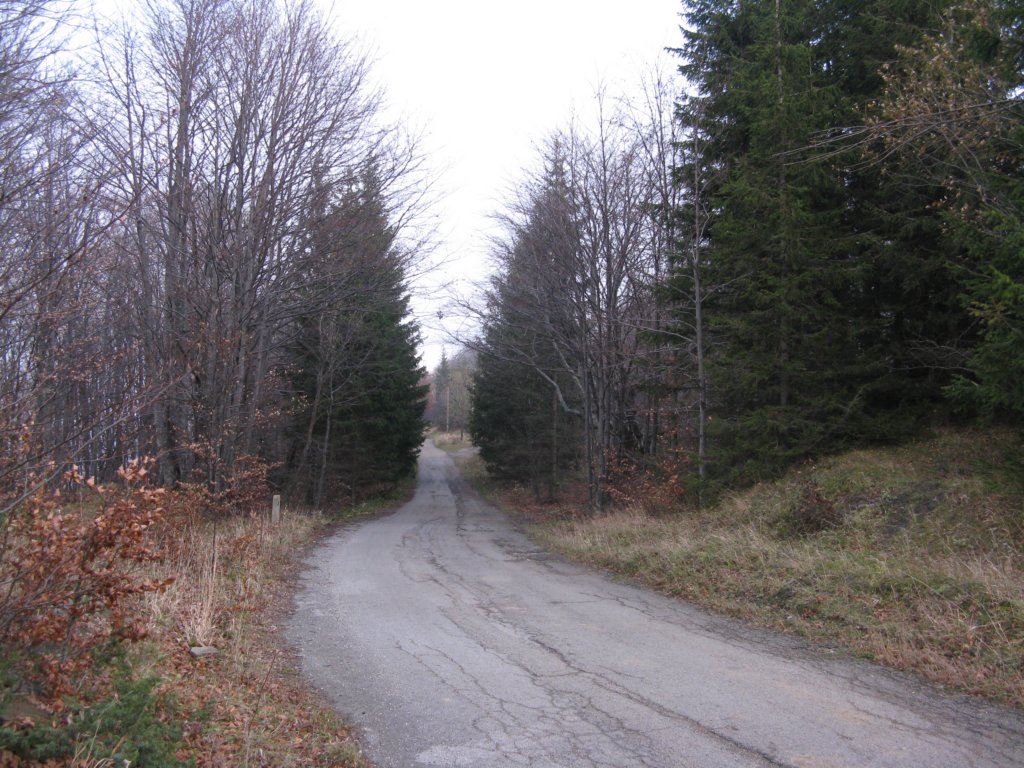 img_7524.jpg