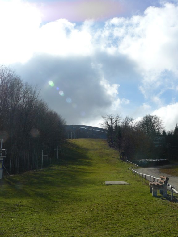 p1160853.jpg