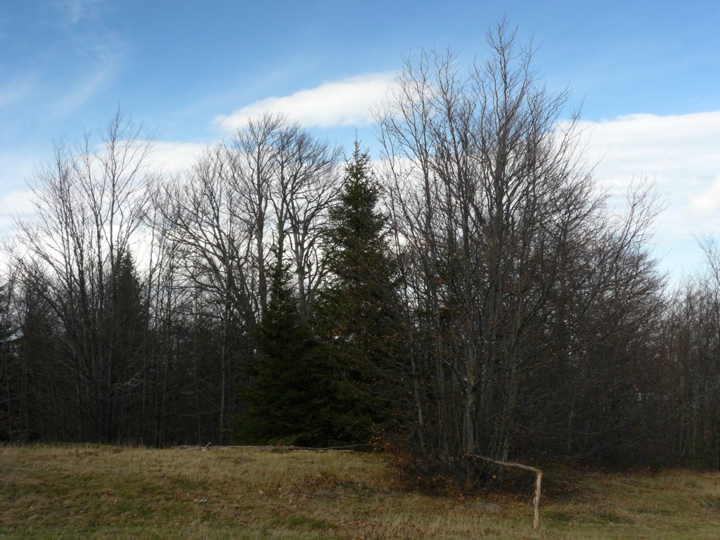 p1160886.jpg