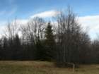 p1160886_small.jpg