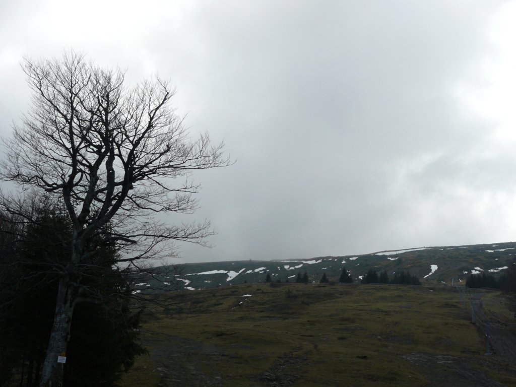 p1160899.jpg