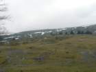 p1160900_small.jpg