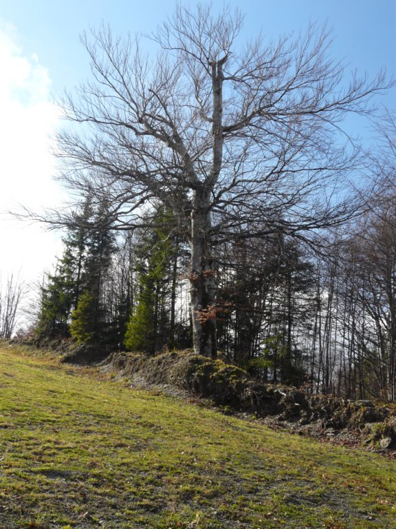 p1280667.jpg