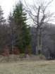 p1280683_small.jpg
