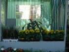 p1180666_small.jpg