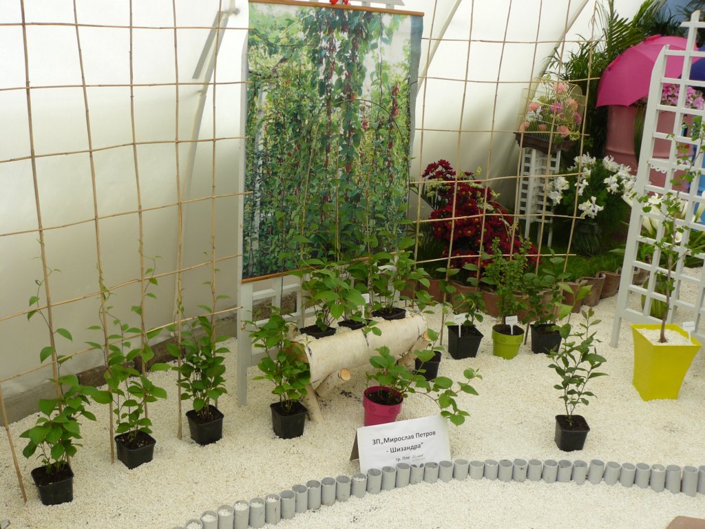 p1180691.jpg