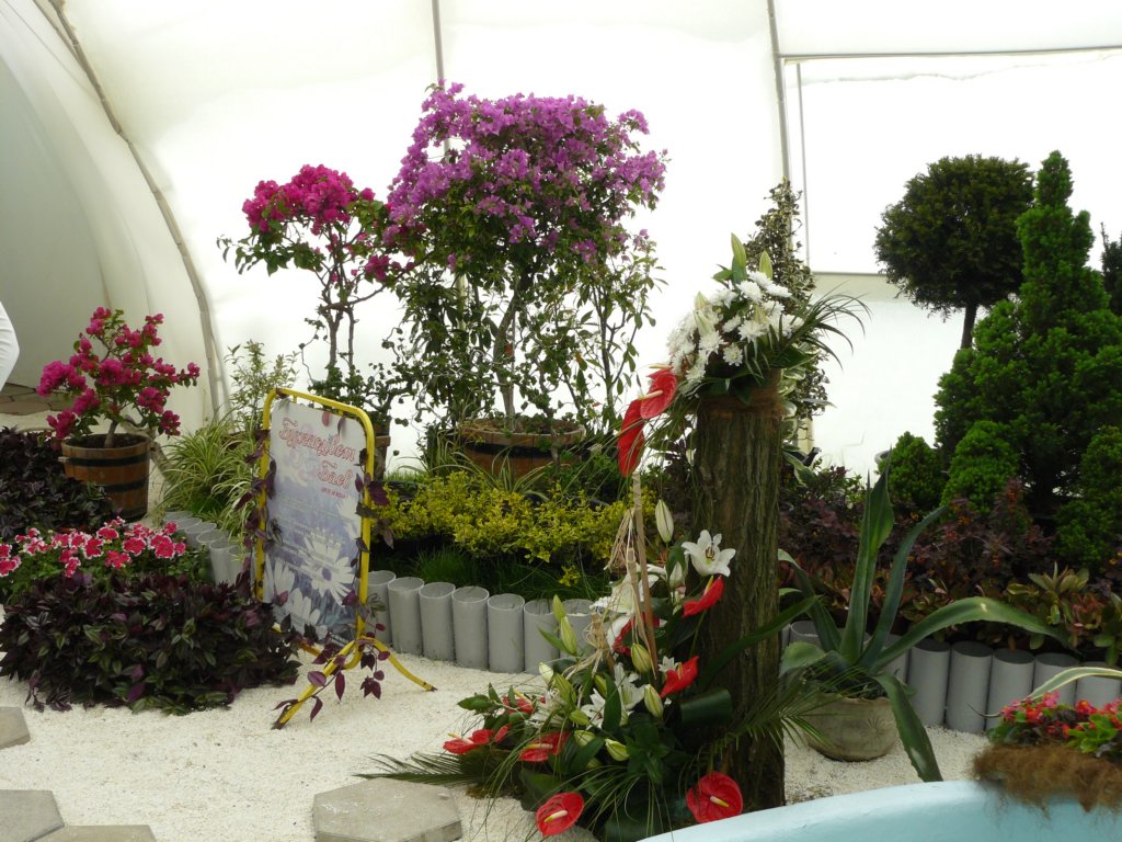 p1180744.jpg