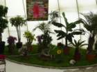 p1180754_small.jpg