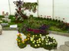 p1180756_small.jpg