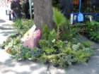 p1180808_small.jpg
