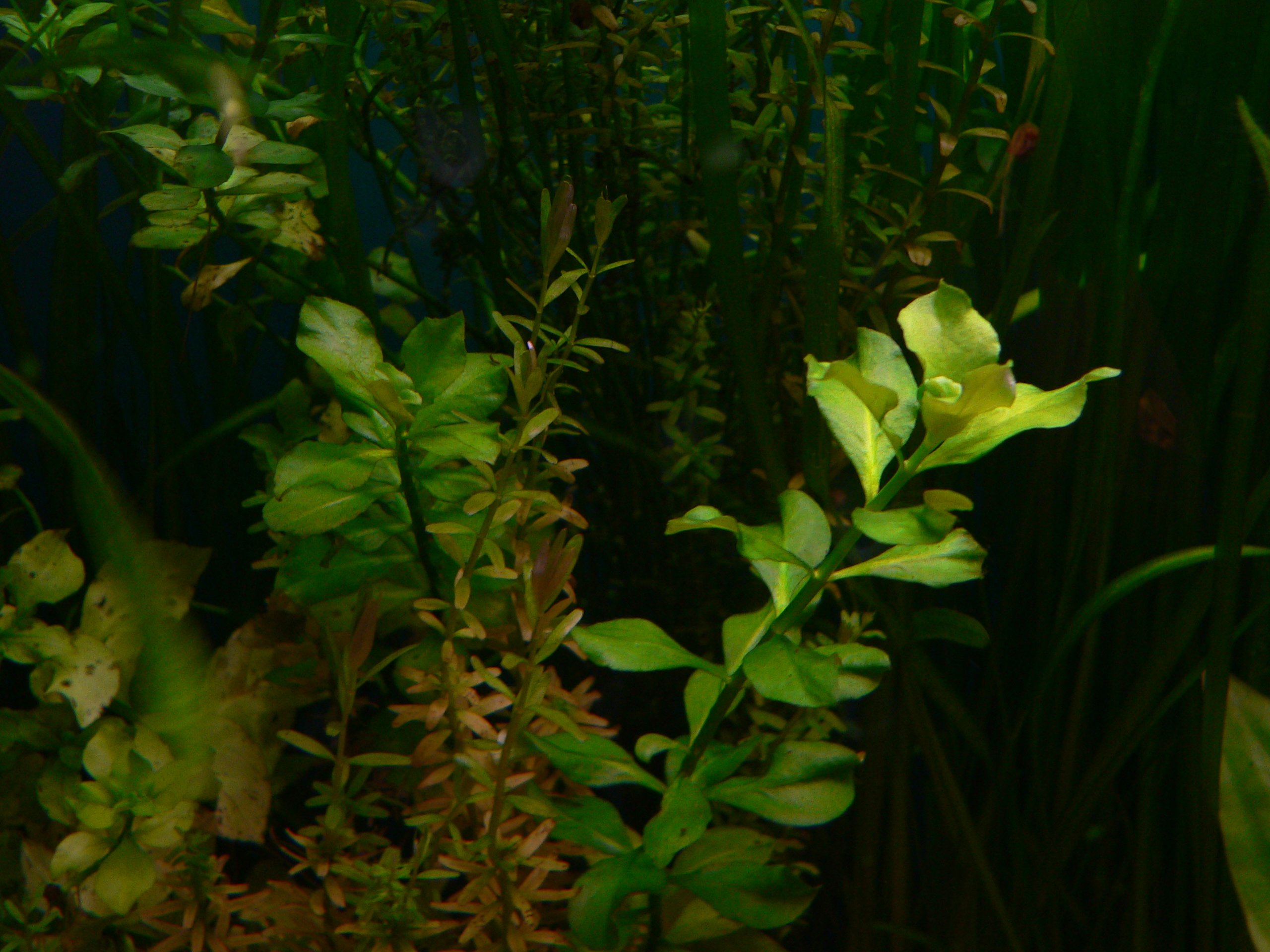p1110562.jpg