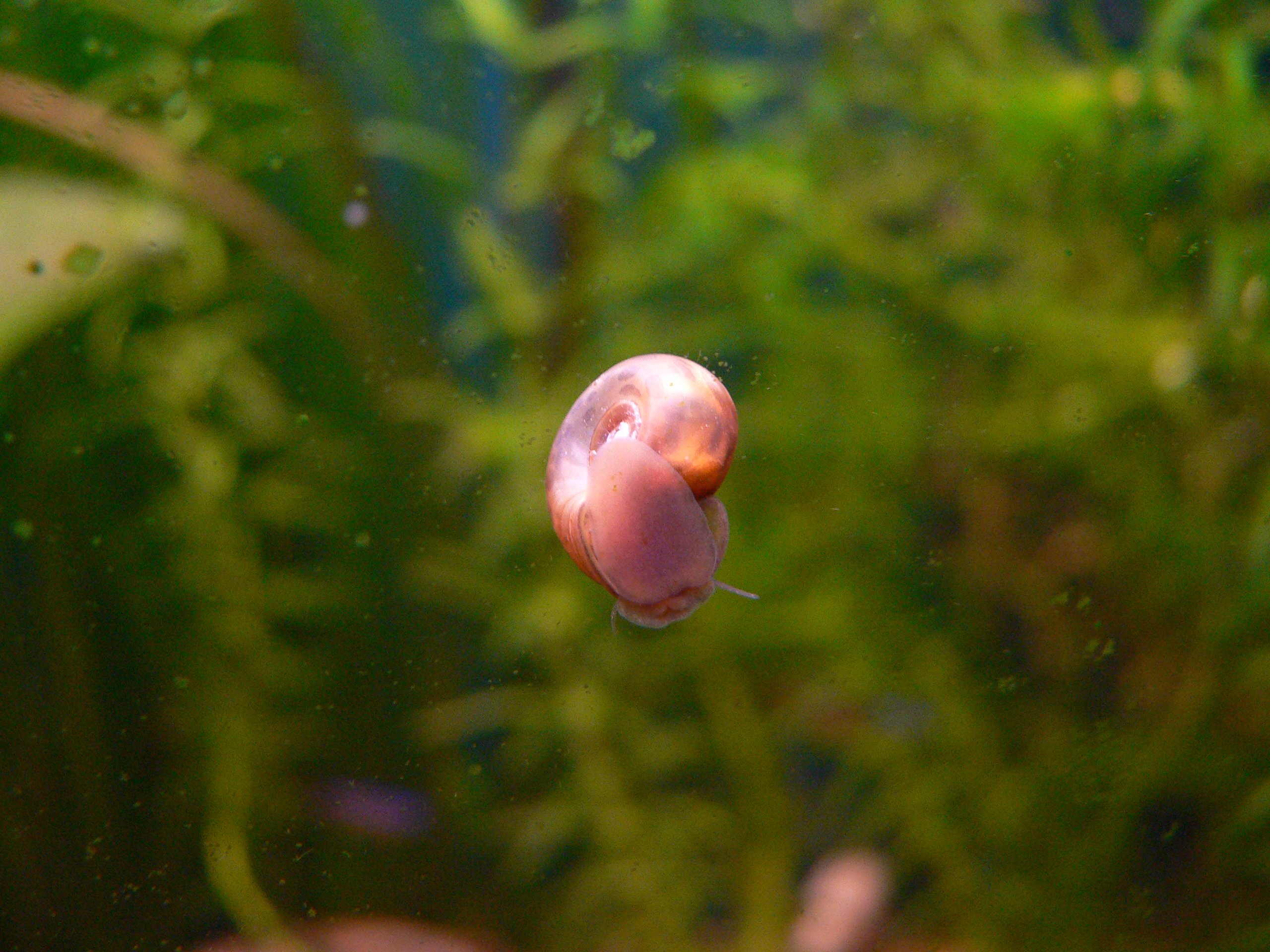 p1110567.jpg
