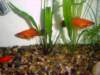 Photo Number 14