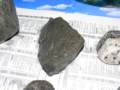 p1120005_small.jpg
