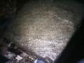 phto0067_small.jpg